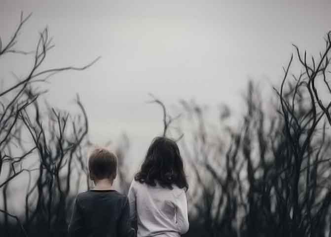 会员商城正版的器测压文章